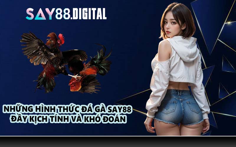 Những hình thức đá gà SAY88 đầy kịch tính và khó đoán