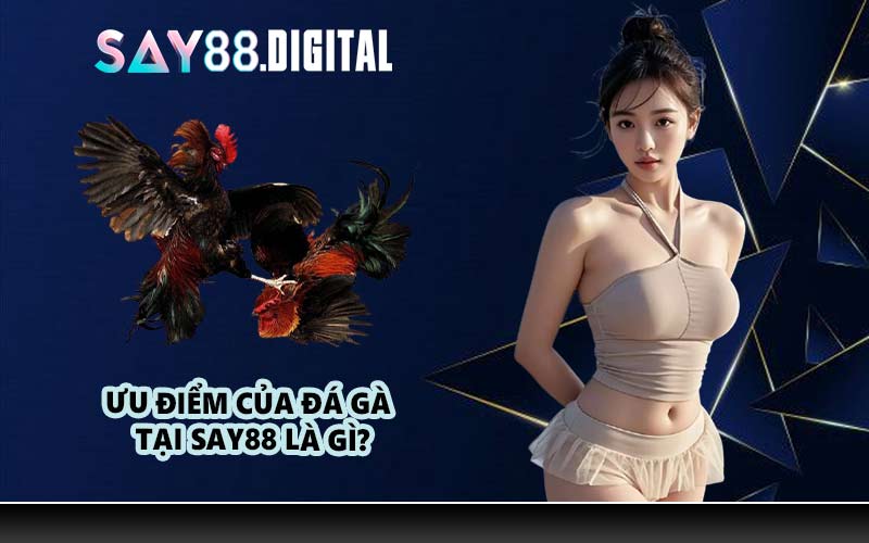Ưu điểm của đá gà tại SAY88 là gì?